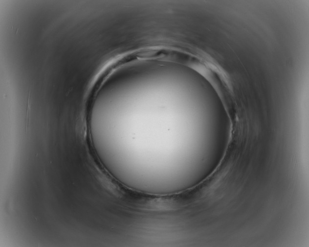 X0000088131368200705211107