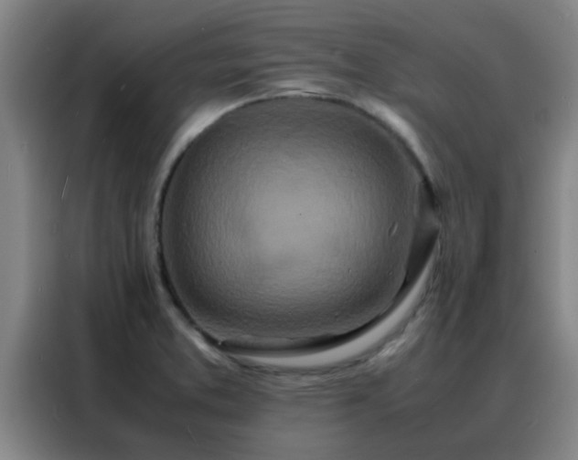 X0000088131373200705211107