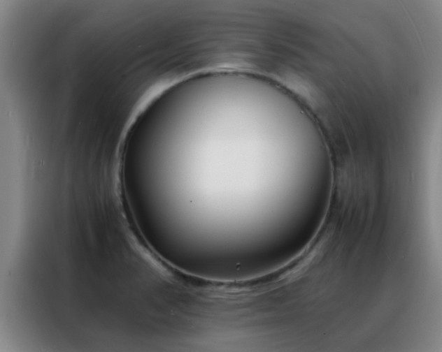 X0000088131374200705211107