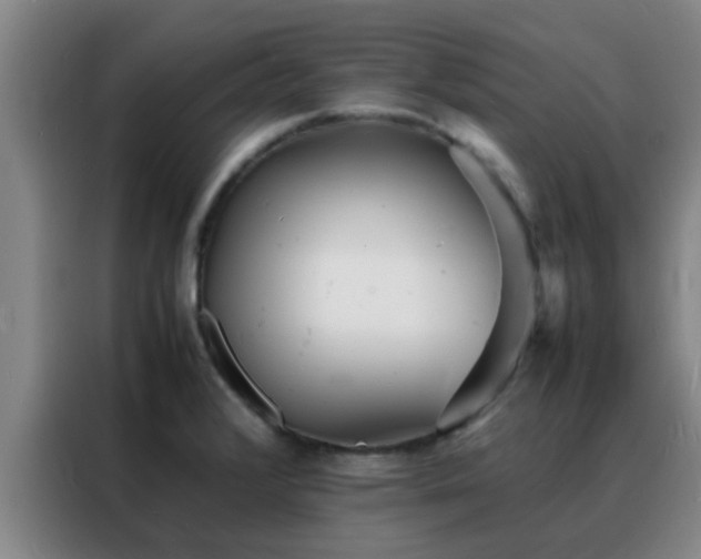 X0000088131376200705211107