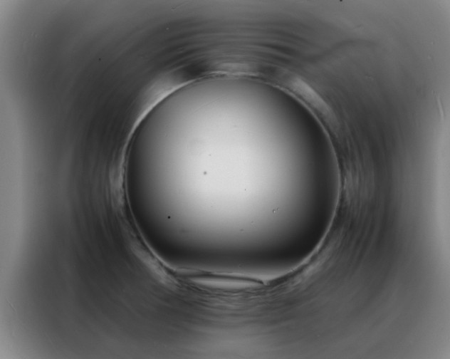 X0000088131378200705211107
