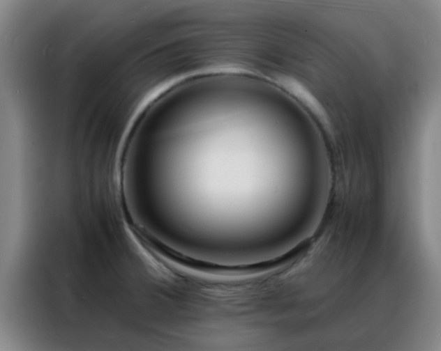 X0000088131380200705211107