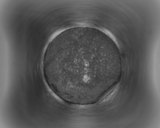 X0000088131381200705211107