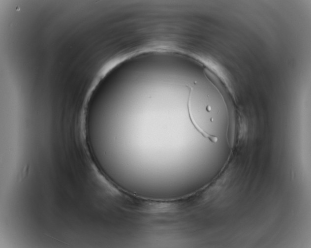 X0000088131382200705211107