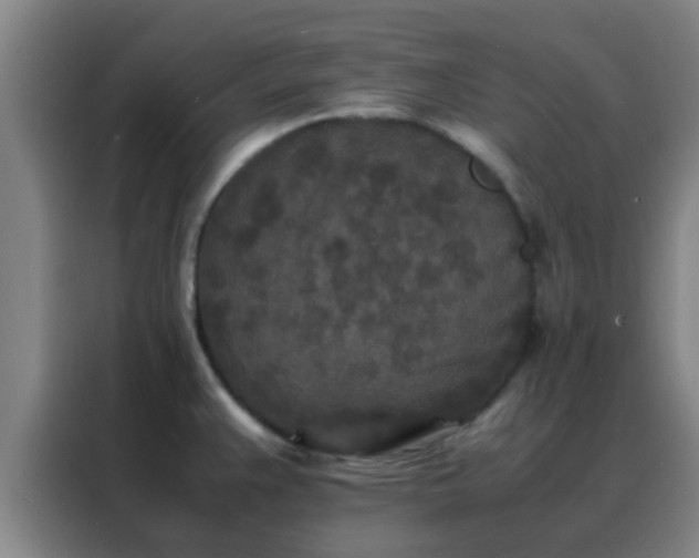 X0000088131383200705211107