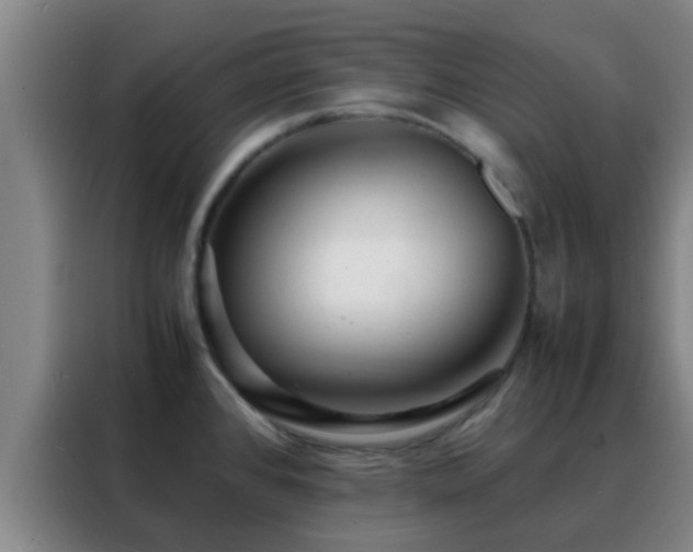 X0000088131384200705211107