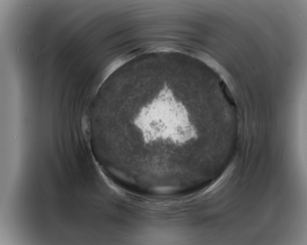X0000088131385200705211107