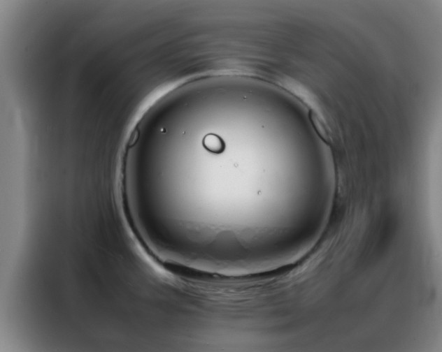 X0000088131387200705211107