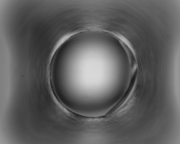 X0000088131389200705211107