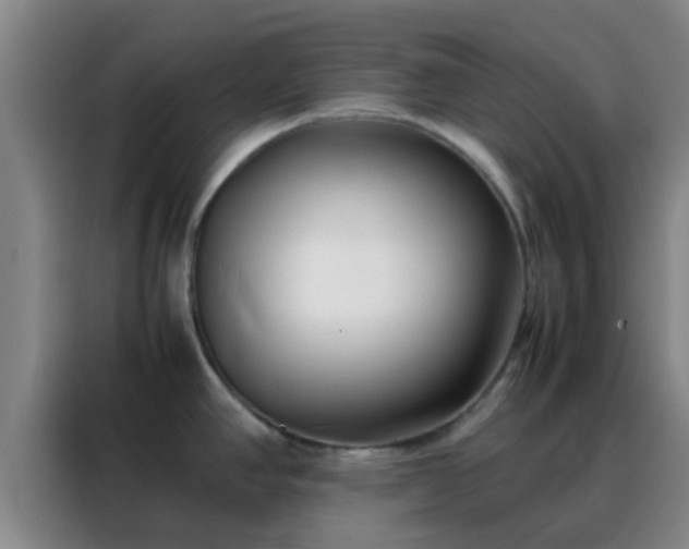 X0000088131390200705211107