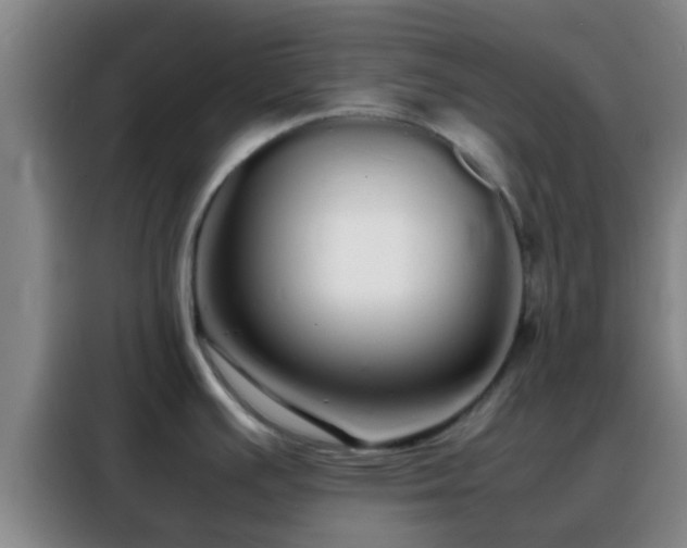 X0000088131391200705211107
