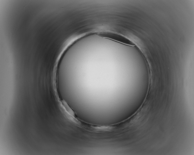 X0000088131392200705211107