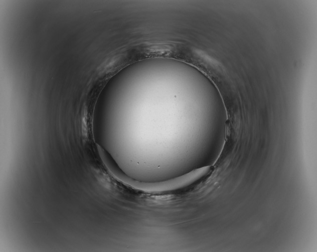 X0000088131394200705211106