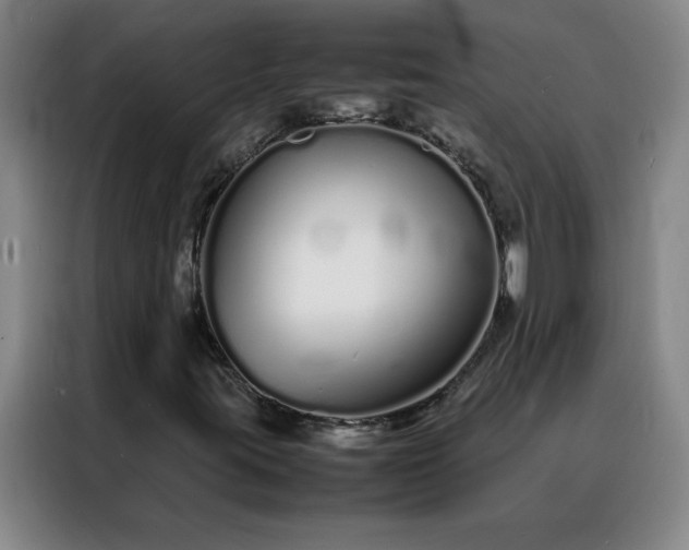 X0000088131395200705211106