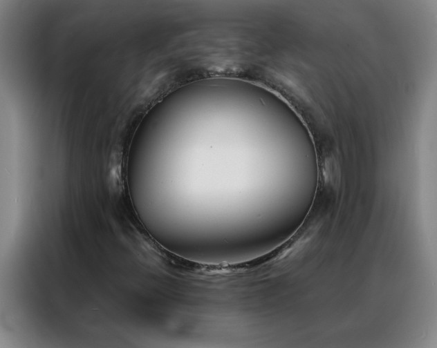 X0000088131396200705211106