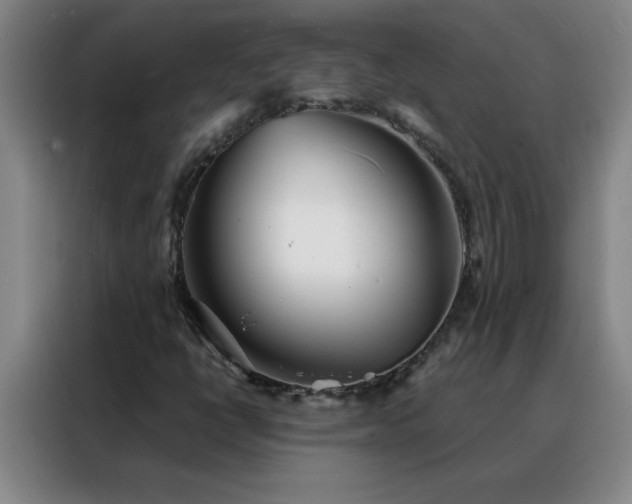 X0000088131398200705211106