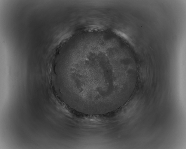 X0000088131399200705211106