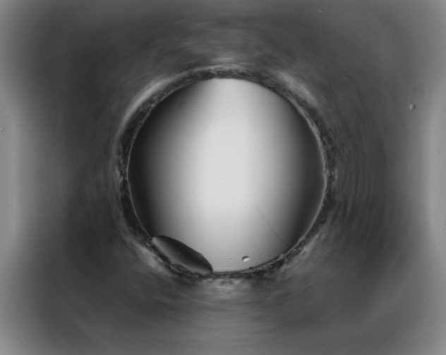X0000088131400200705211106