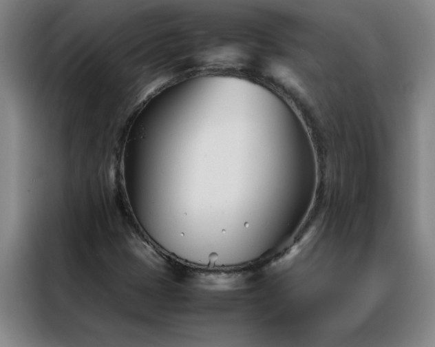 X0000088131401200705211106
