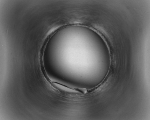 X0000088131404200705211106