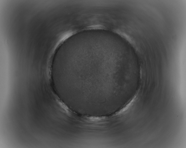 X0000088131405200705211106