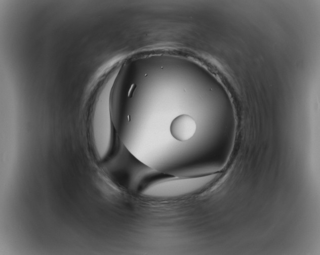 X0000088131406200705211106