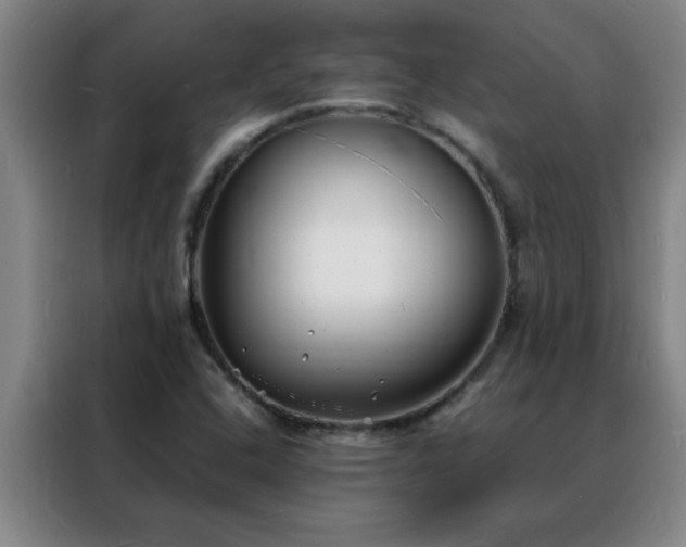X0000088131408200705211106
