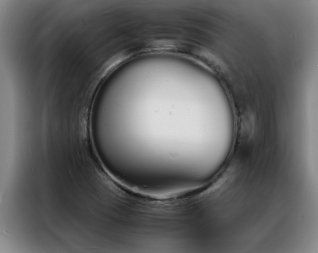 X0000088131409200705211106