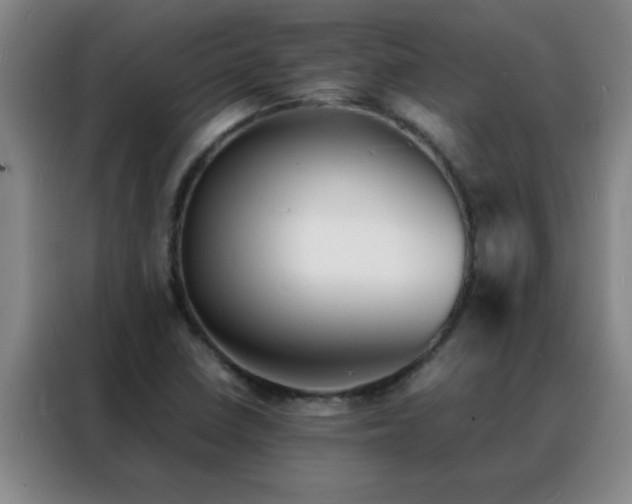 X0000088131410200705211106