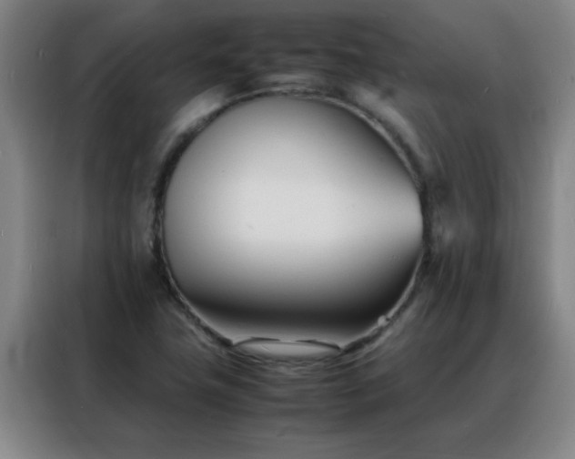 X0000088131411200705211106