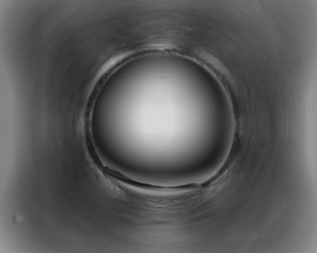 X0000088131412200705211106