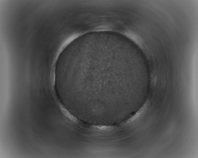 X0000088131413200705211106