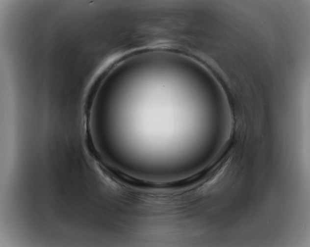 X0000088131414200705211106
