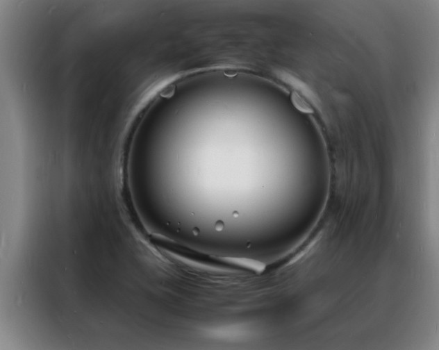X0000088131415200705211106
