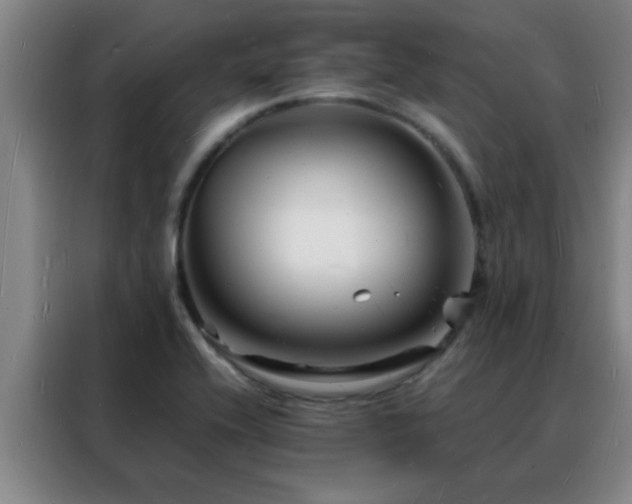 X0000088131416200705211106