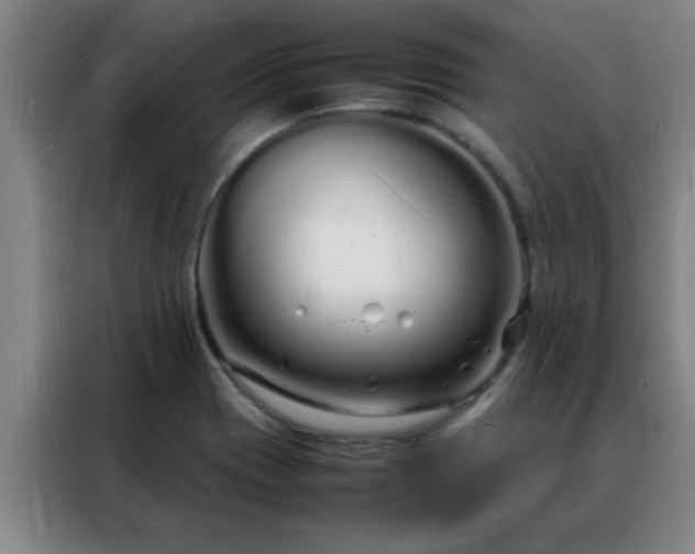 X0000088131417200705211106