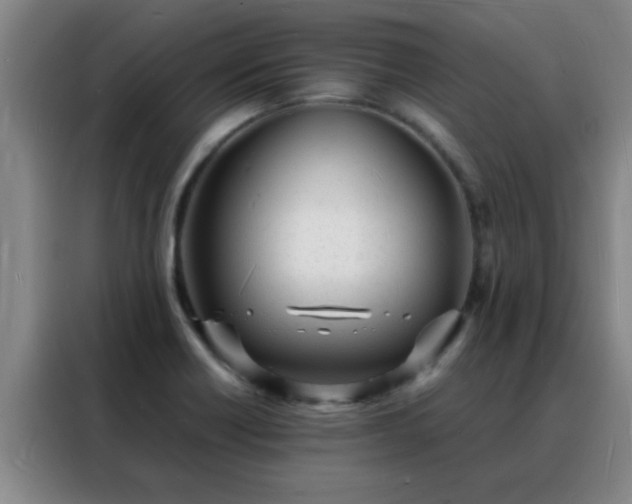 X0000088131418200705211106