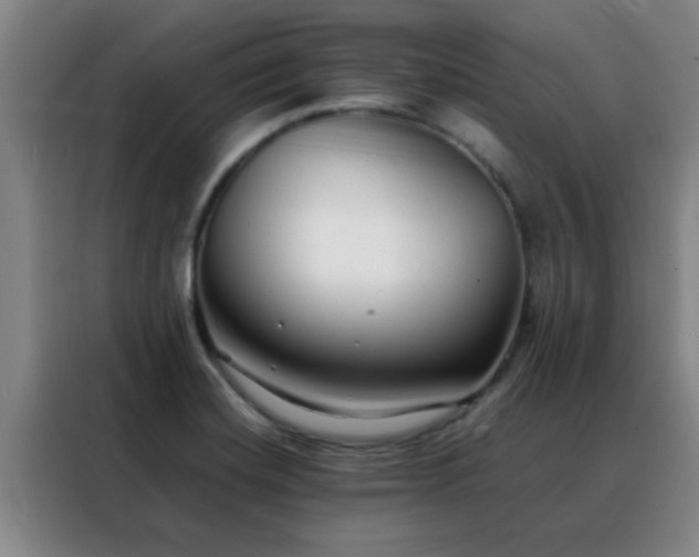 X0000088131420200705211106