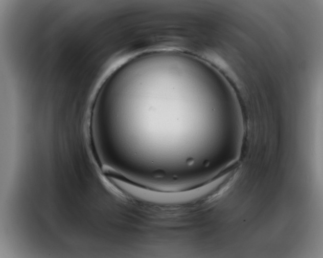 X0000088131421200705211106
