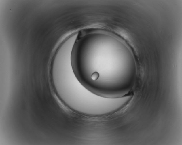 X0000088131422200705211106