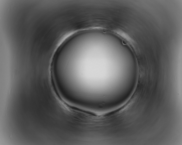 X0000088131423200705211106