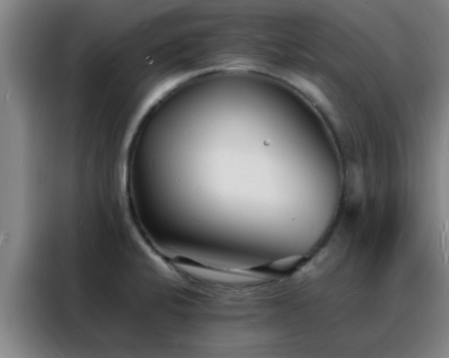 X0000088131424200705211106