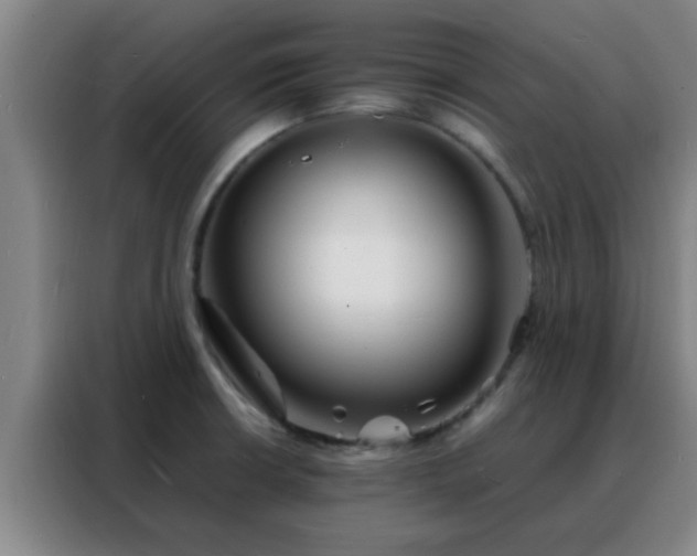 X0000088131426200705211106