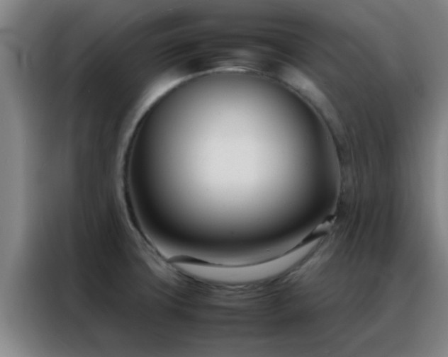 X0000088131427200705211106