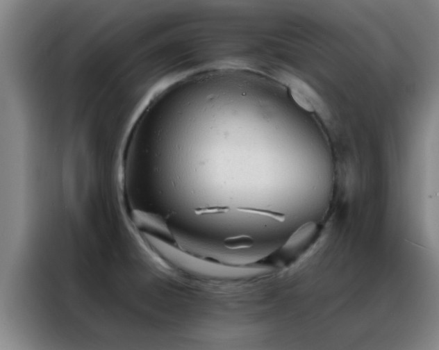 X0000088131428200705211106