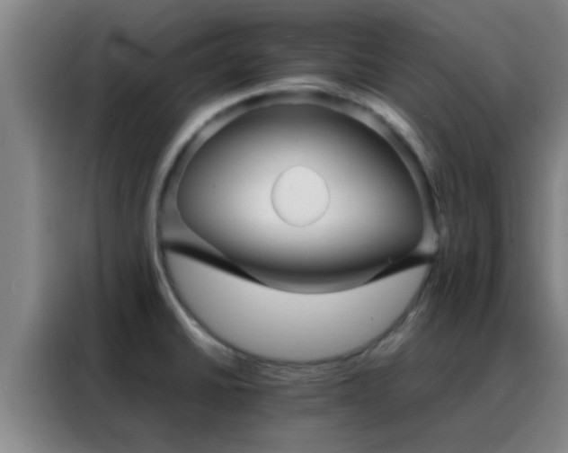 X0000088131430200705211107