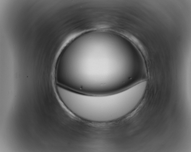 X0000088131432200705211107