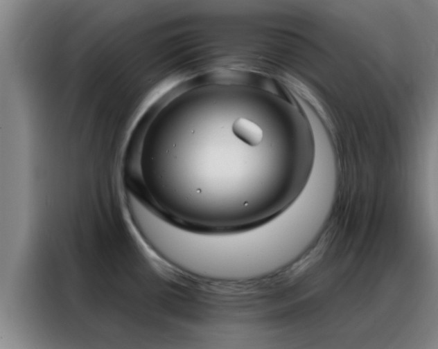 X0000088131434200705211107
