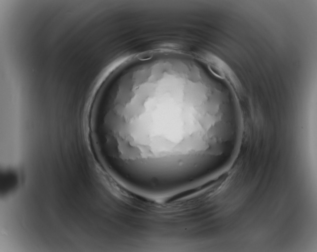 X0000088131435200705211107