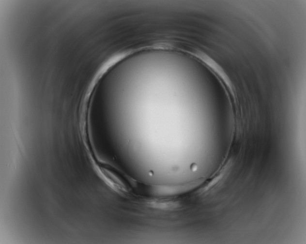 X0000088131437200705211107